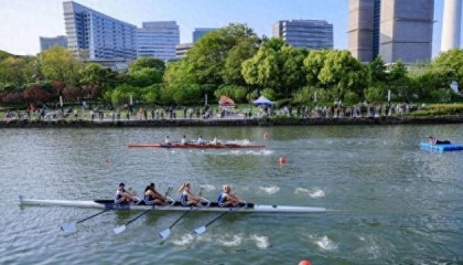 欧博体育-桨韵苏河，逐梦前行！2026上海赛艇城市精英赛圆满落幕|普陀区|体育|赛事|苏州河|普陀_新浪体育_新浪新闻