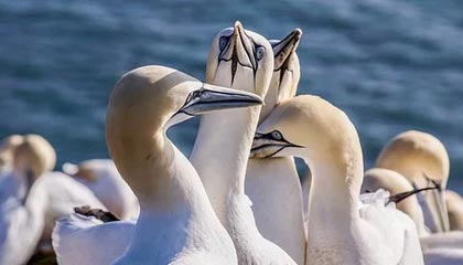 华体会华体会hth：把健康变成日常的力量